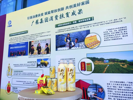 广药集团李楚源陪同国务院扶贫办副主任开展调研工作