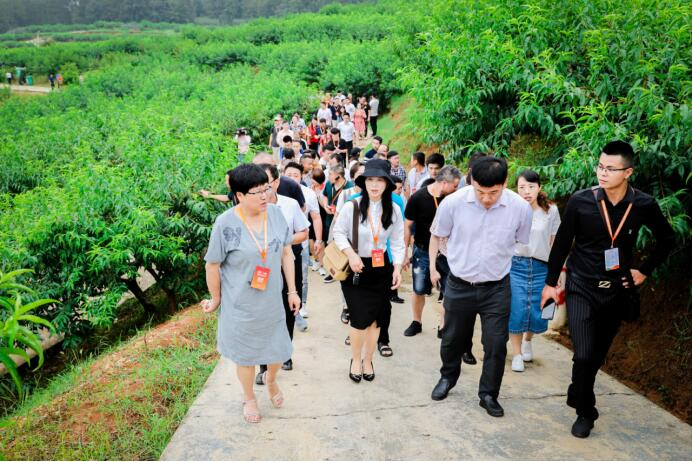 玉屏皇桃品牌推介暨产销对接会圆满举办，签约量百余万斤！