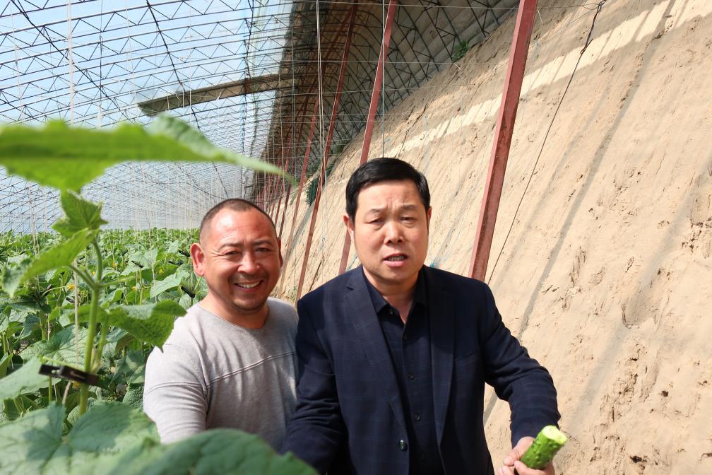 稷牌量子生物有机肥采用的量子技术究竟有多牛？