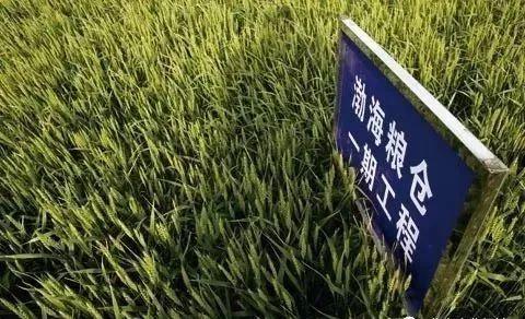 “渤海粮仓”工程：五年增粮200多亿斤