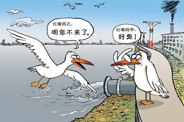 泉露净水器净化饮用水污染看的见买到身体健康超值