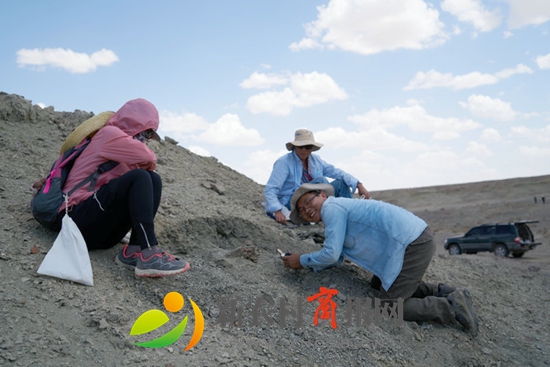 山科大泰山学者周长付：十年如一日敲击石头与古脊椎动物“对话”