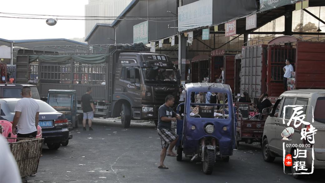 惠农网《农市十二时辰》：致敬每一位一线农业人