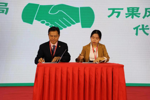 临高电子商务进农村凤梨产业推荐会主会圆满举行