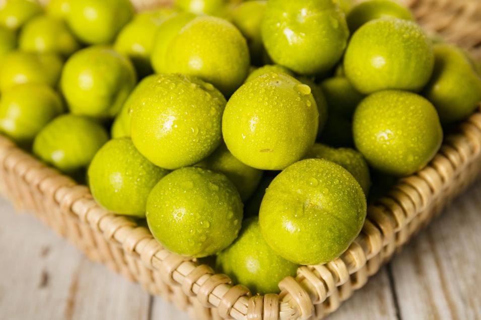 千年巫山孕育中华名果，山橙时代启动新一季巫山脆李预售