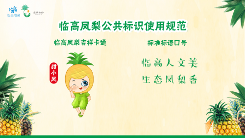 临高电子商务进农村凤梨产业推荐会主会圆满举行