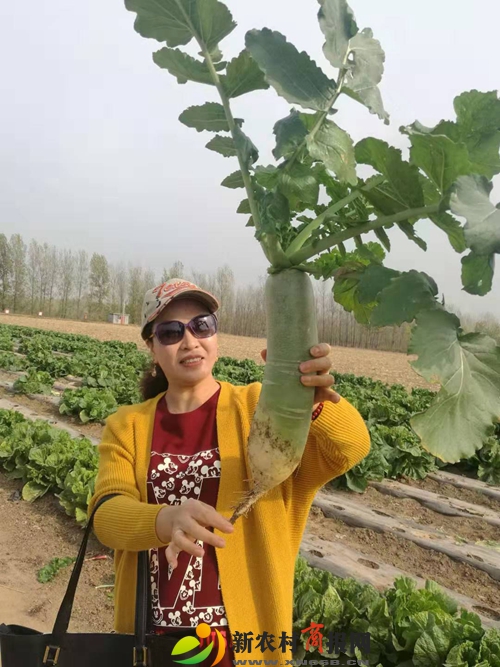 微信图片_20191103181158.jpg