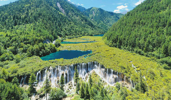 九寨沟裸露山体穿上“绿装”