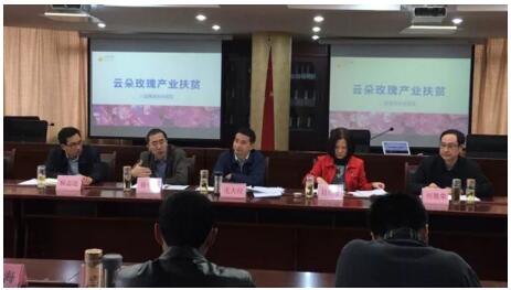 云朵玫瑰项目扶贫获官方支持与认可