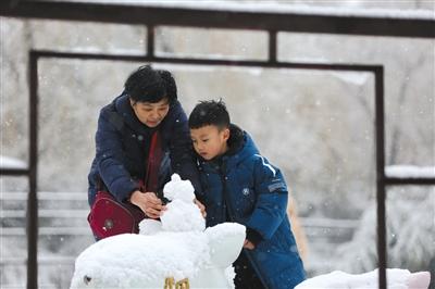 十万人游园 沐雪观京城