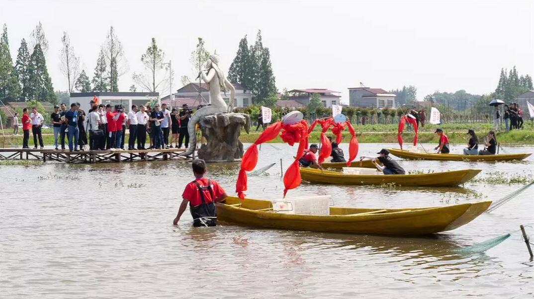 【重磅】全球直播回放│南县首届小龙虾捕捞节暨万人网红直播节圆满落幕！