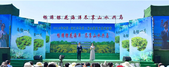 2019四川•南江兴马第三届金银花文化旅游节盛大开幕!