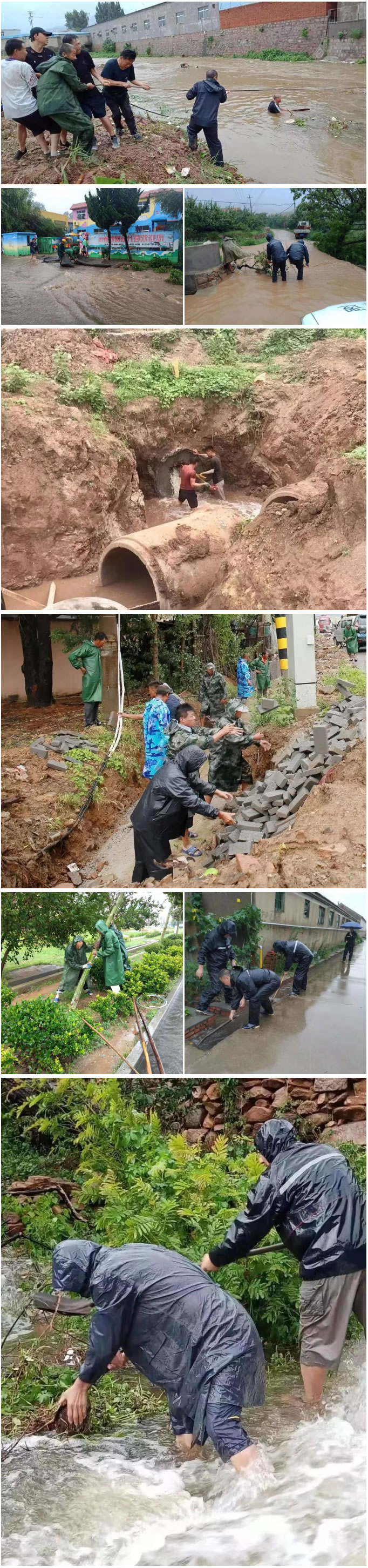 风雨坚守 初心如磐：台风“利奇马”过境青岛市城阳区的72个小时