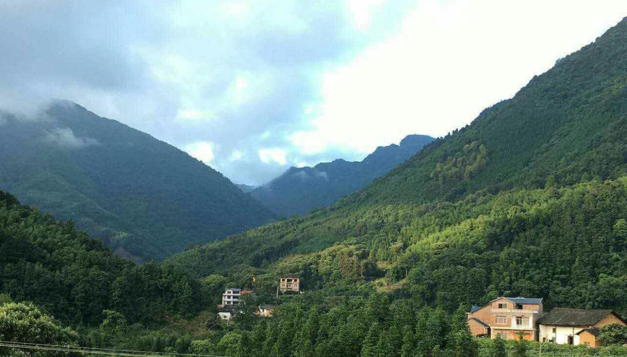 专访柳州市安森农业开发有限公司创始人刘仁安