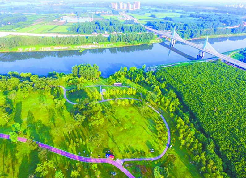 安徽太和经开区打造创新开放的“华东药都”