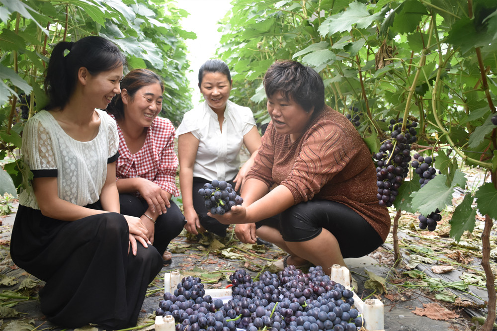 亳州市谯城区城父镇:“九字”方针 提升非公党建工作质量