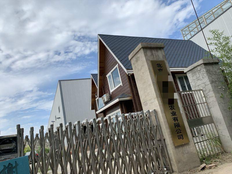 暗访京郊地下赌场：藏身工厂层层暗哨 一场牌输赢百万