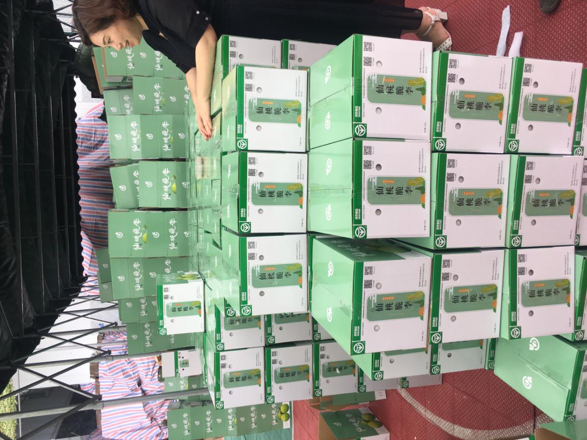 仙桃脆李变身“致富果” 山橙时代助力谱写乡村振兴新乐章
