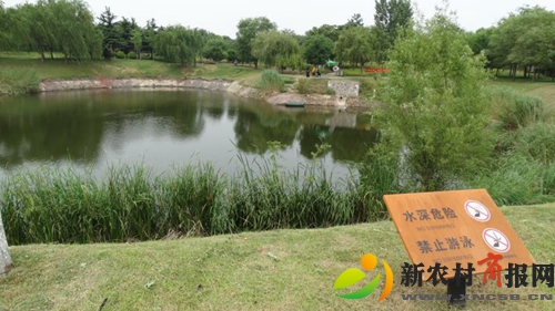 胶州二里河公园图片图片