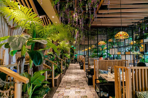 四季椰林椰子鸡首届椰子节暨品牌升级发布会