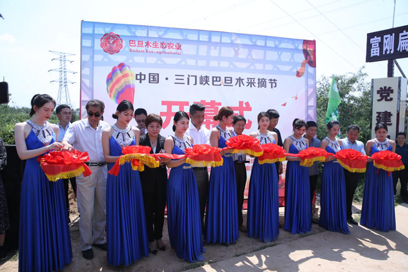 聚五湖四海之宾朋，2019中国巴旦木产业高峰论坛胜利召开