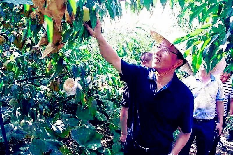 湖南省新化县县长的一张“关公脸”