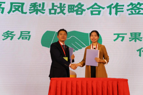 临高电子商务进农村凤梨产业推荐会主会圆满举行