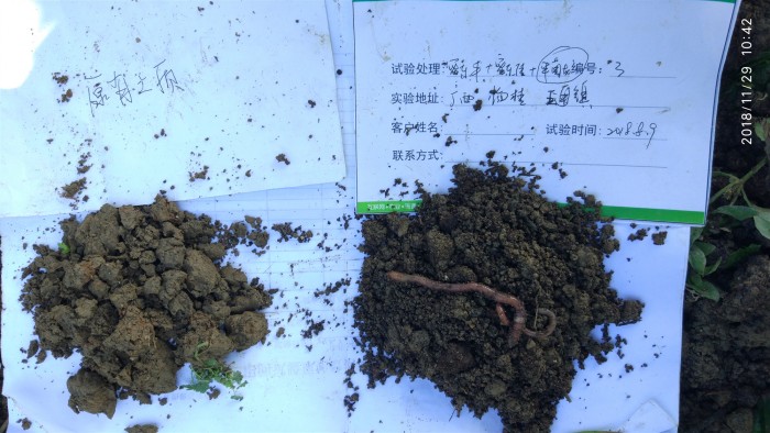 这款果农朋友都在用的生物有机肥——丰菌龙，到底有什么特别之处？