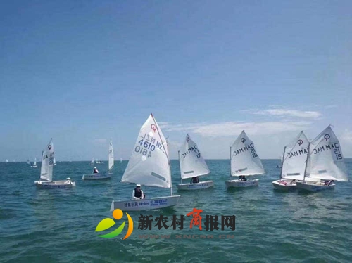 金银赛事 再创辉煌——2019青岛国际OP帆船营比赛异彩纷呈