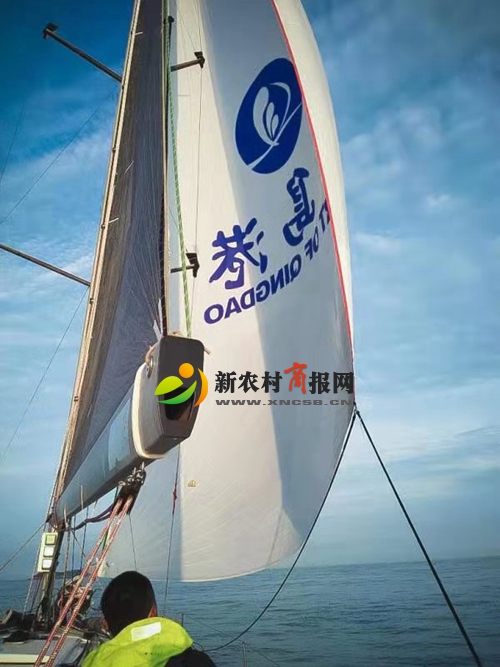 微信图片_20190829170627.jpg