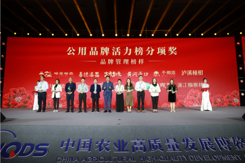 泸溪县多品牌出征博鳌 荣登2019中国区域公用品牌活力榜