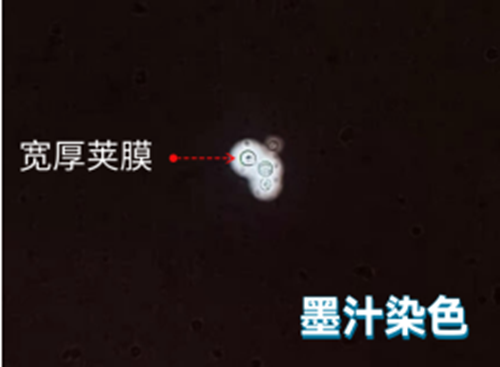 1652662730(1).png