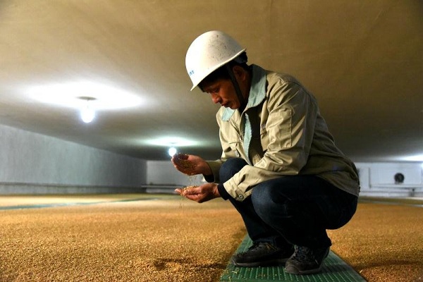 农产品加工业逐鹿“中国粮仓”，维维股份产业龙头效应凸显