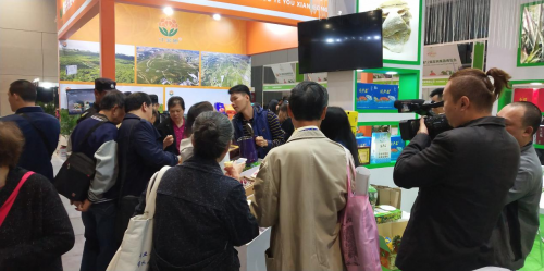 临高电子商务进农村凤梨产业推荐会主会圆满举行