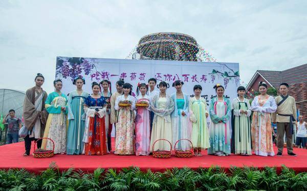 果园村，我的名字其实叫“葡萄村”