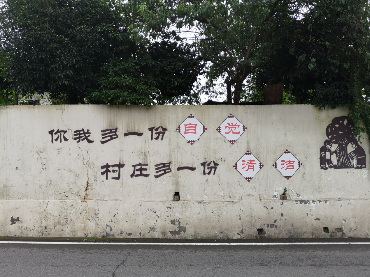 脱贫治污两手抓——川农学子调研林口村脱贫发展状况