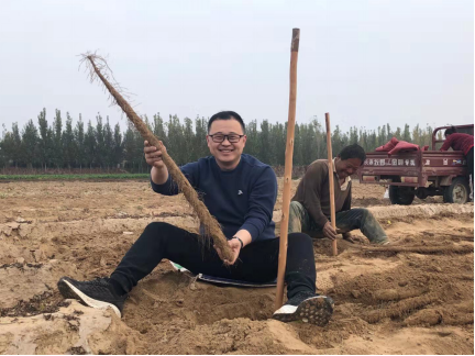 第二届王奉白玉山药电商文化大集盛大开幕，白玉山药燃爆线上线下