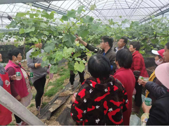 智慧农业解决方案走进农村 精准扶贫难题迎刃而解