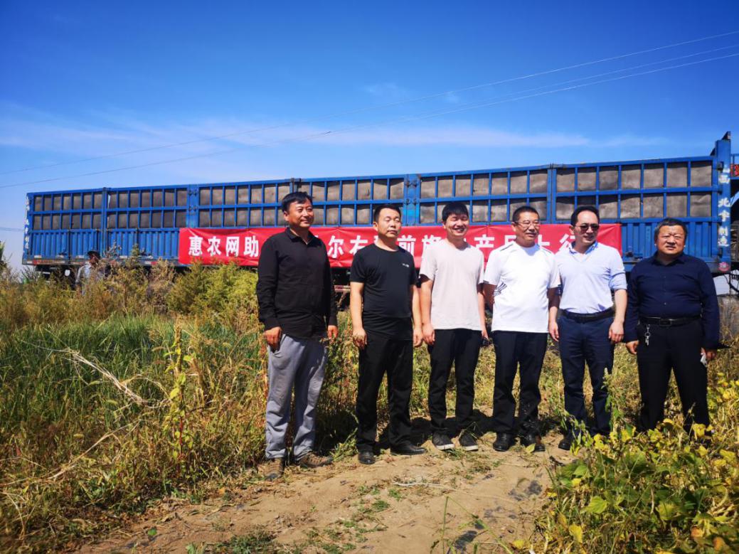 黄金满地，数不胜薯，察右前旗土豆“远嫁”南方