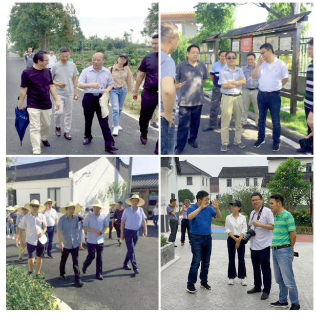 专家视野下的示范村建设 ——全国首份乡村振兴示范村第三方专家评估报告出