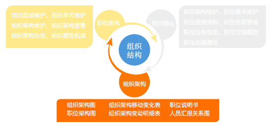施特伟科技：数字化人力资源管理是我们一直坚守的目标