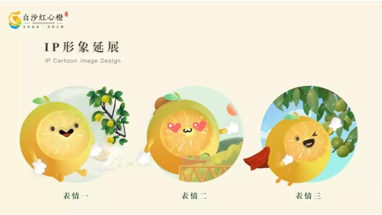 白沙良食 浑然天＂橙＂ 2019年白沙红心橙品牌推介会活动圆满结束！