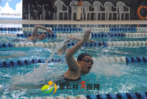 “泳”争第一！胶州市直机关在维多利亚游泳俱乐部举行游泳比赛！