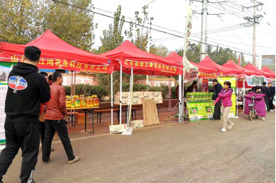 第二届王奉白玉山药电商文化大集盛大开幕，白玉山药燃爆线上线下