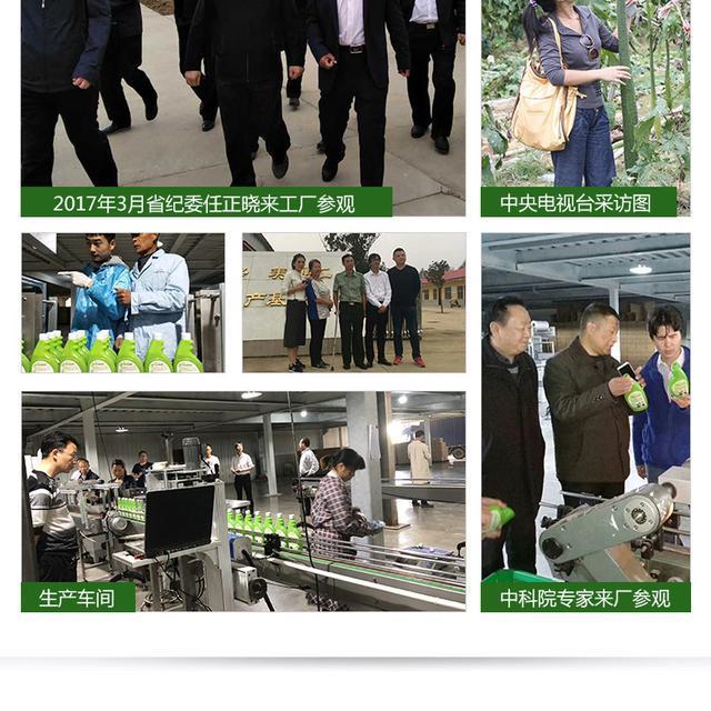 巨型一号携手傲鹰联保，打造清洗行业新模式