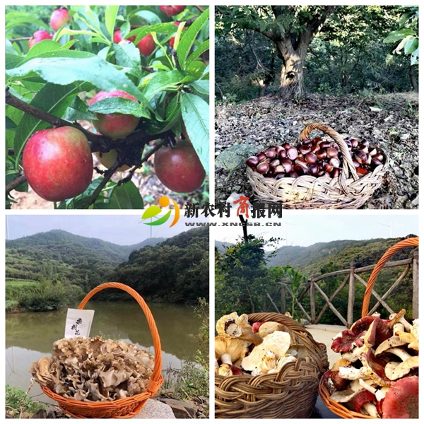 禄润生态农业发展有限公司荣获山东省“AAA级放心企业”称号