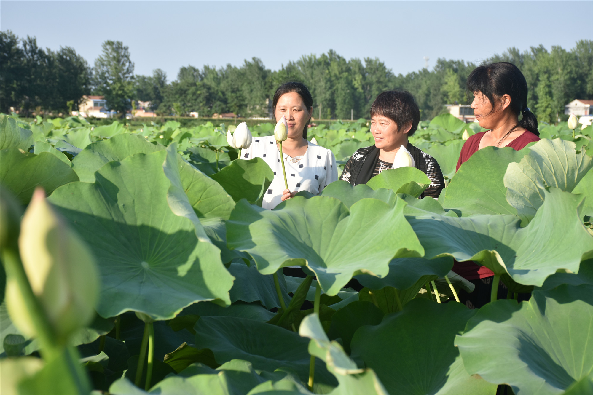 DSC_6012_副本.jpg