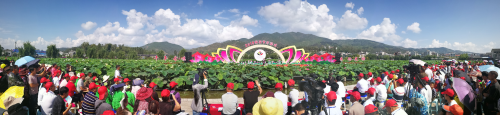 大智慧引领办节新模式