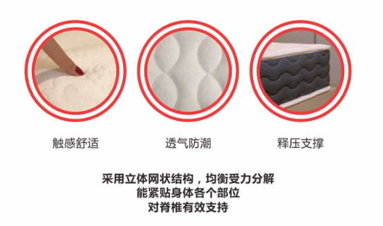 “正棕1号”爆款护脊椰棕床垫新品发布