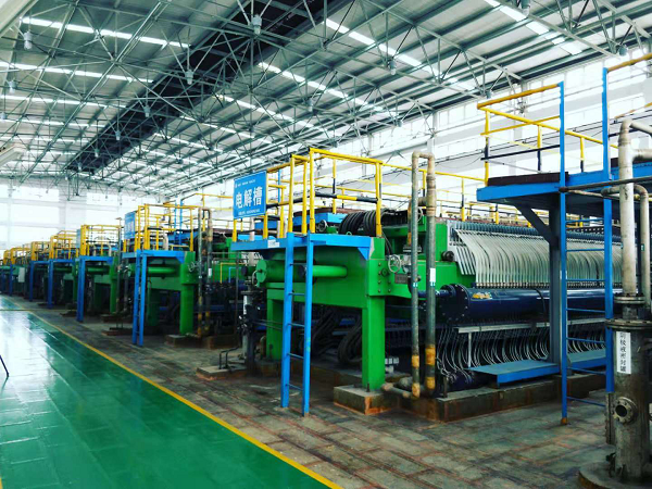 安徽定远：聚焦乡村振兴战略谱写绿色发展新篇章